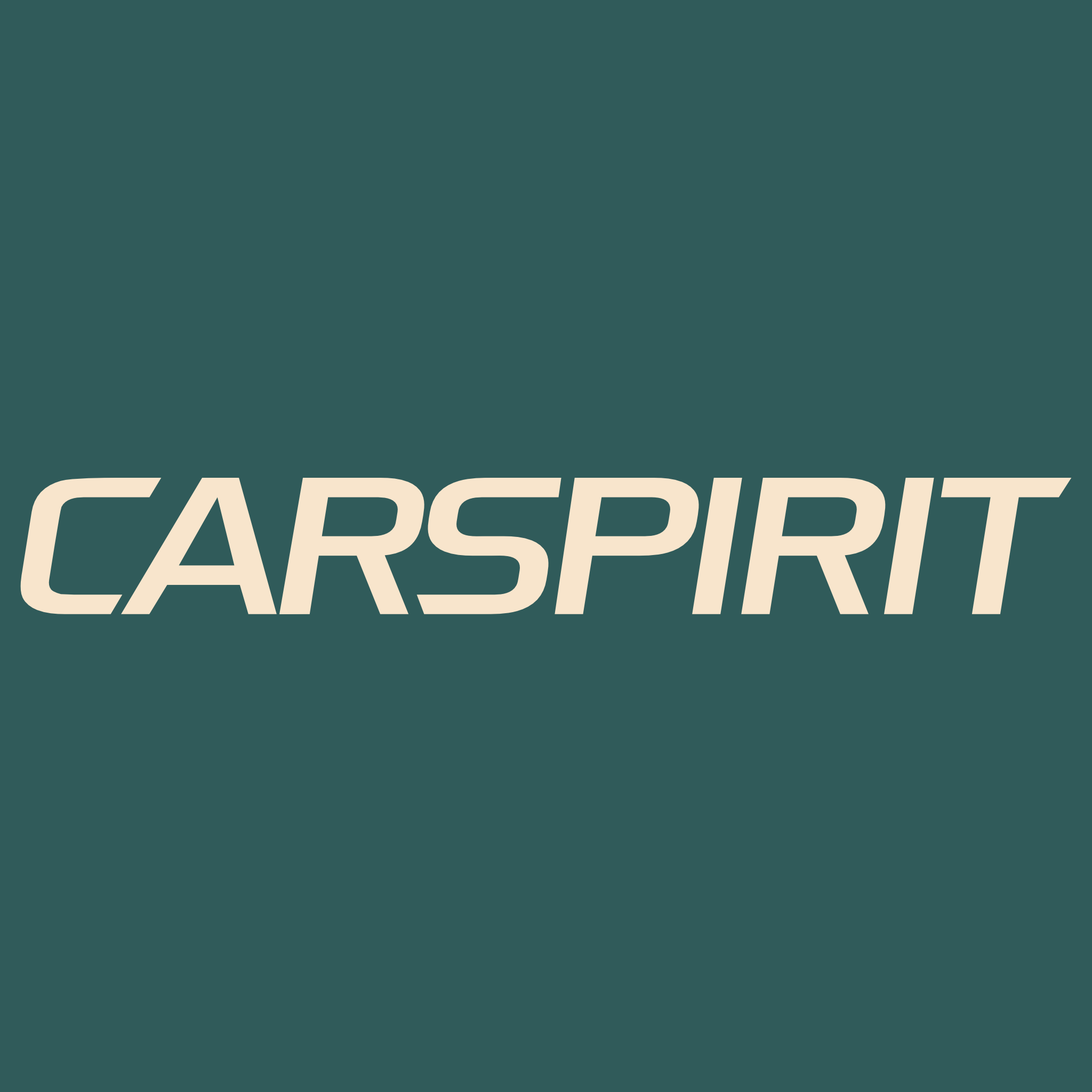 CARSPIRIT auto-schultz