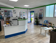 Freie Werkstatt  04552 Borna: Wintec Autoglas Borna