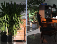 Freie Werkstatt  04442 Zwenkau: Autohaus Zwenkau GmbH