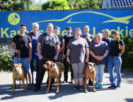 Freie Werkstatt  12621 Berlin: Behnke Kfz-Handel, Service & Reifen e.K.