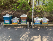 Vertragswerkstatt 82194 Gröbenzell: Autohaus Gröbenzell GmbH & Co. KG